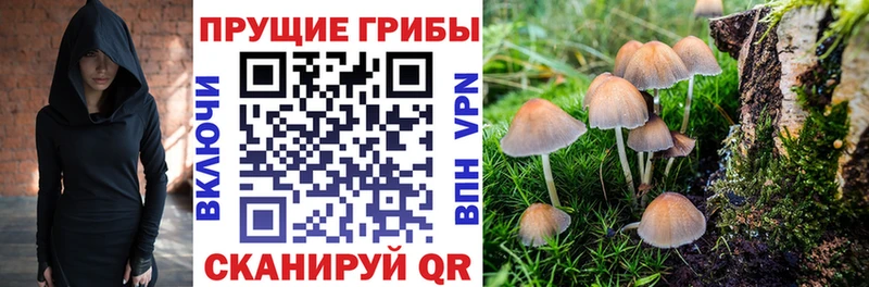 Псилоцибиновые грибы мухоморы  Купить где  Кировград 